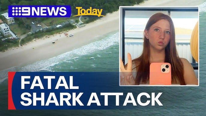 Woman killed in shark attack in Australia