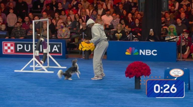How Tyrese Maxey went from the hardwood to the 2025 National Dog Show