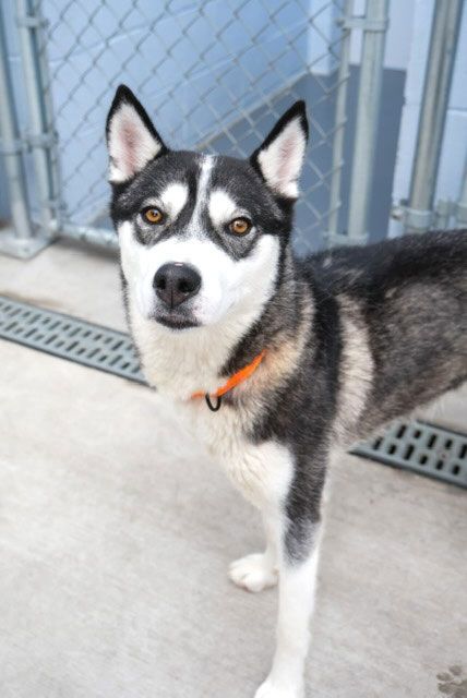 Gant appoints Fredrik Malm as CEO