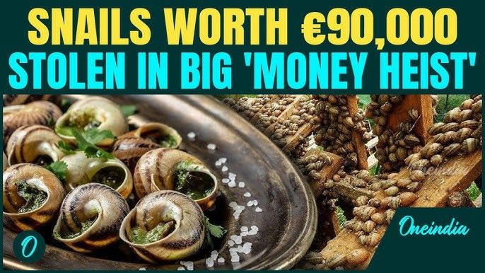 French farm has €90,000 worth of snails stolen