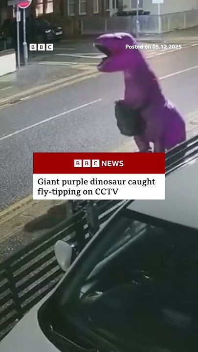 Giant purple dinosaur caught fly-tipping on CCTV