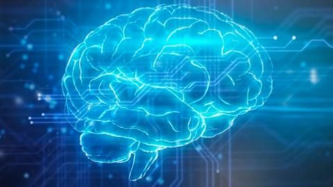 Weekly quiz: What age did scientists say your brain reaches adulthood?