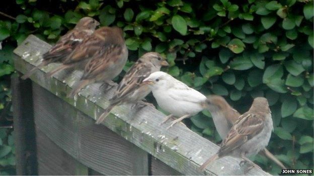 Sweaty Betty in new dispute over ad slogans