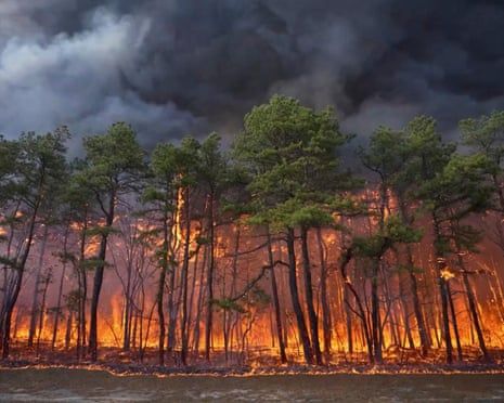 Synthetic chemicals in food system creating health burden of $2.2tn a year, report finds